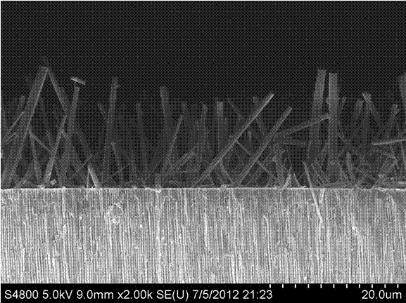 Method for preparing metal organic frame gas separating film by utilizing pinning effect of metal organic nano rod array on macro-pore substrate