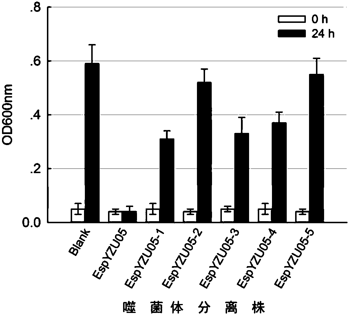 Enterobacter sakazakii phage EspYZU05 and purpose thereof