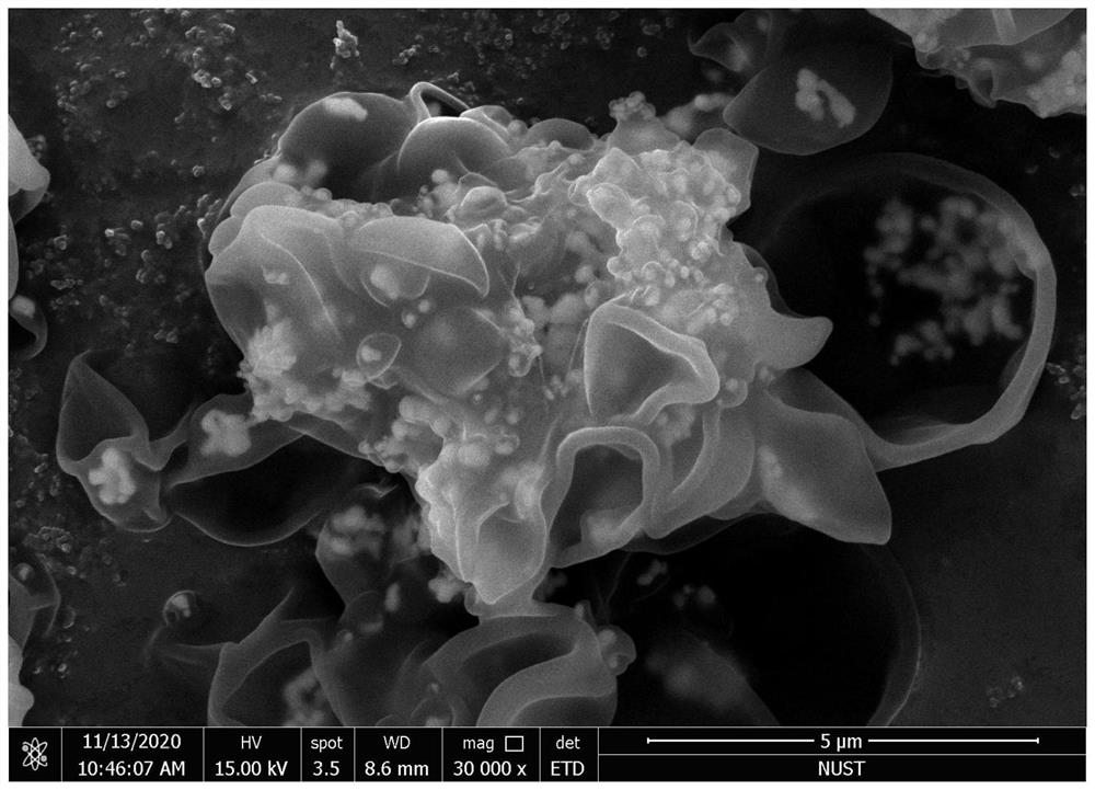 Tremella-shaped carbon-coated nano-silver material as well as preparation method and application thereof