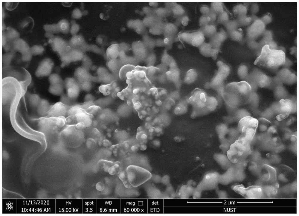 Tremella-shaped carbon-coated nano-silver material as well as preparation method and application thereof