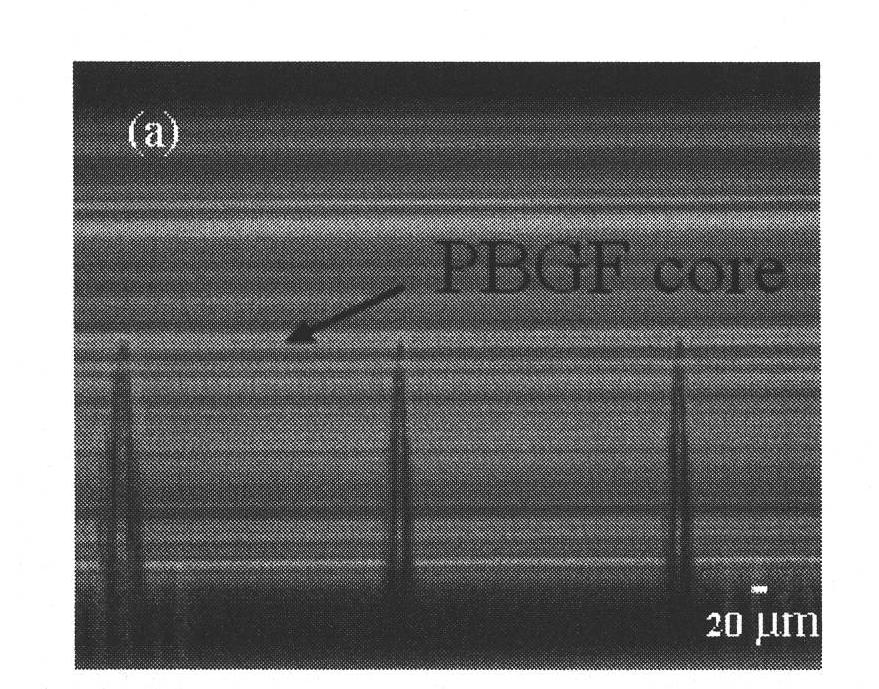 M-Z type hydrogen sensing head based on femto-second laser micro-machined hollow PBGF with written-in LPGs