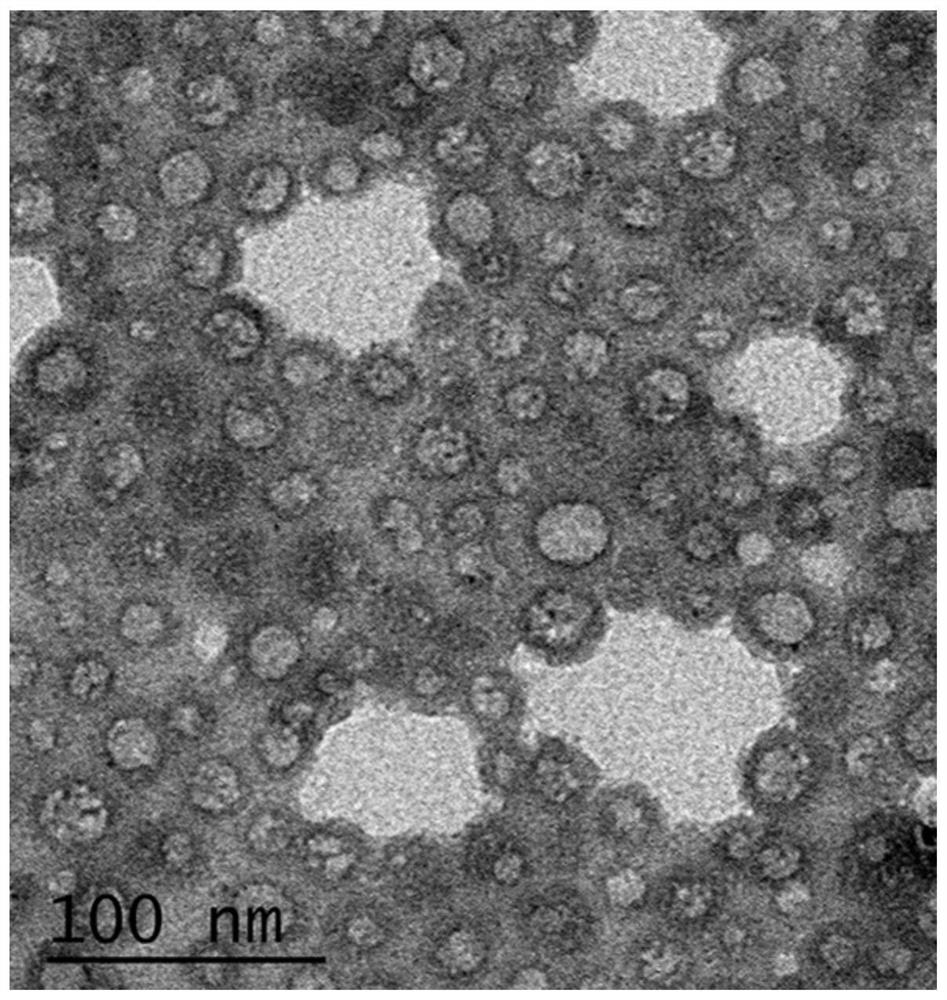 A kind of preparation method of anti-scratch hydrophobic anti-reflection film