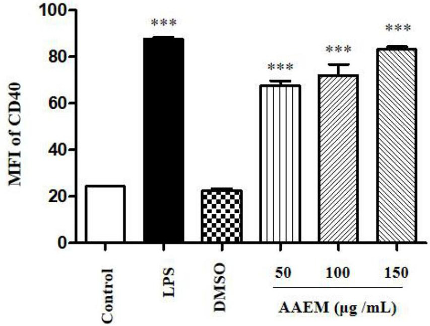 Artemisia lindleyana alcohol extract as well as extraction method and application thereof