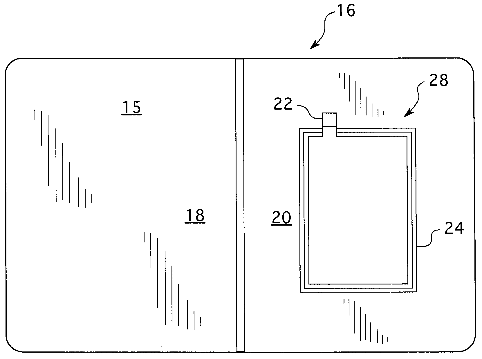 Apparatus and method for selectively permitting and resisting reading of radio frequency chips