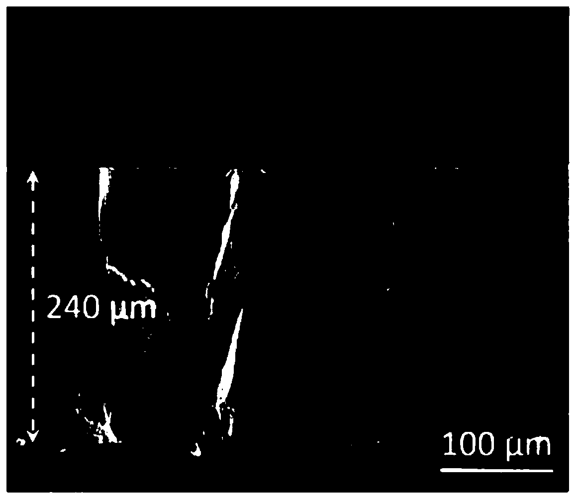 Cesium lead halide perovskite thick film as well as preparation and application thereof