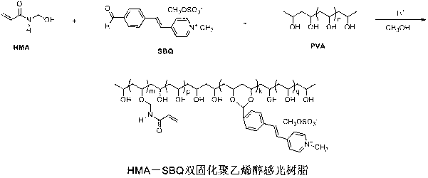 Method for preparing dual-curing single-component silk-screen printing photosensitive adhesive