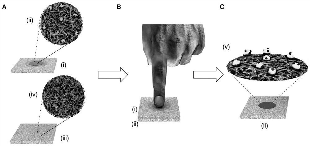 Method for storing and releasing protein-modified nanoparticles on paper substrate