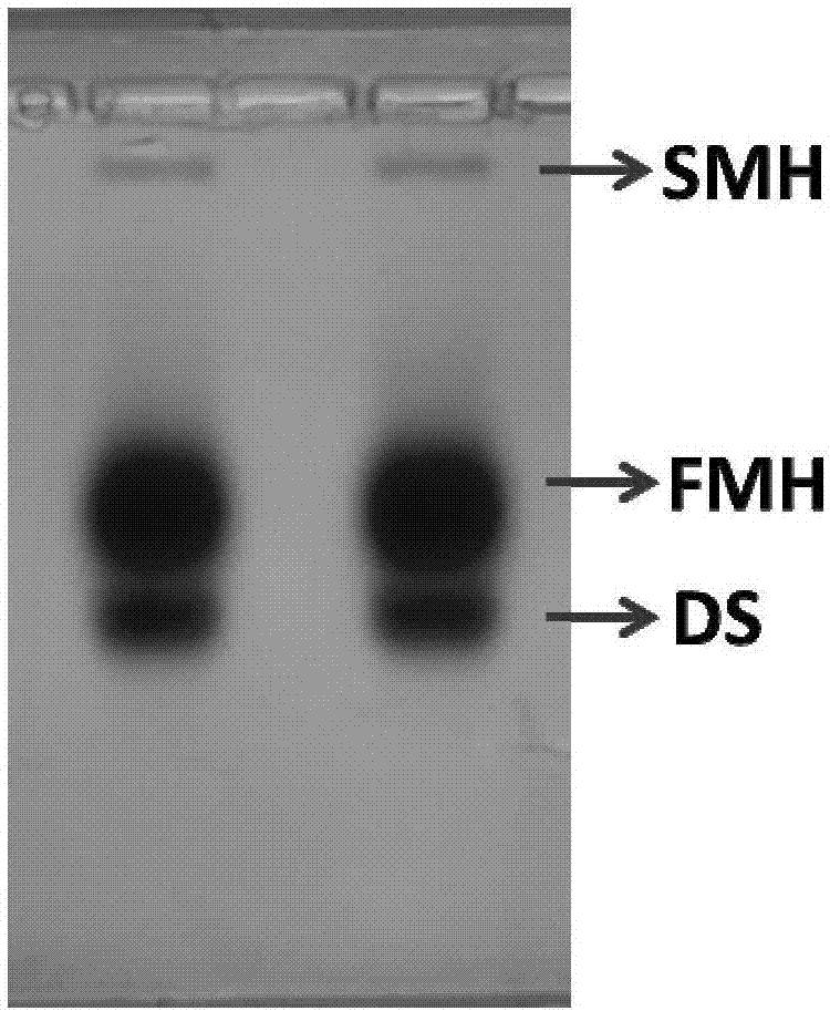 Chromatography-mass spectrometry detection method for electrophoresis hydrophilic interaction of sulodexide