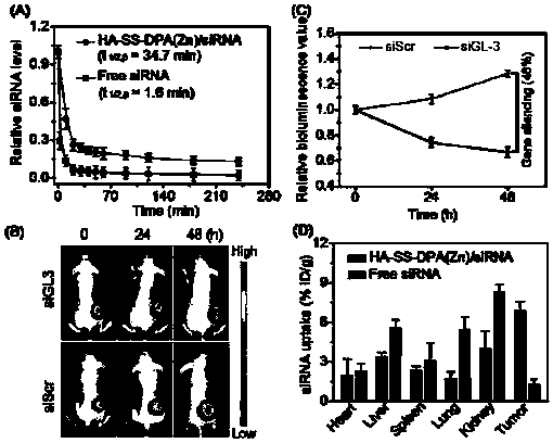 Nano-drug and synthesis method thereof