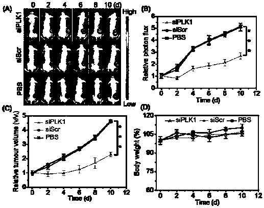 Nano-drug and synthesis method thereof