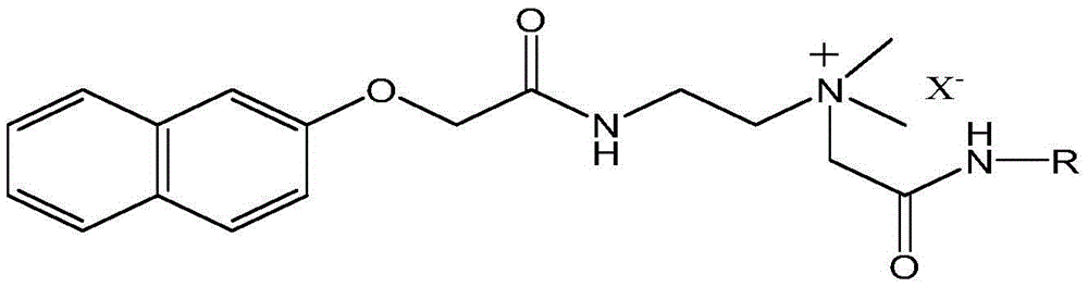 Naphthol-derivative quaternary ammonium salt cationic surface active agent and preparing method thereof