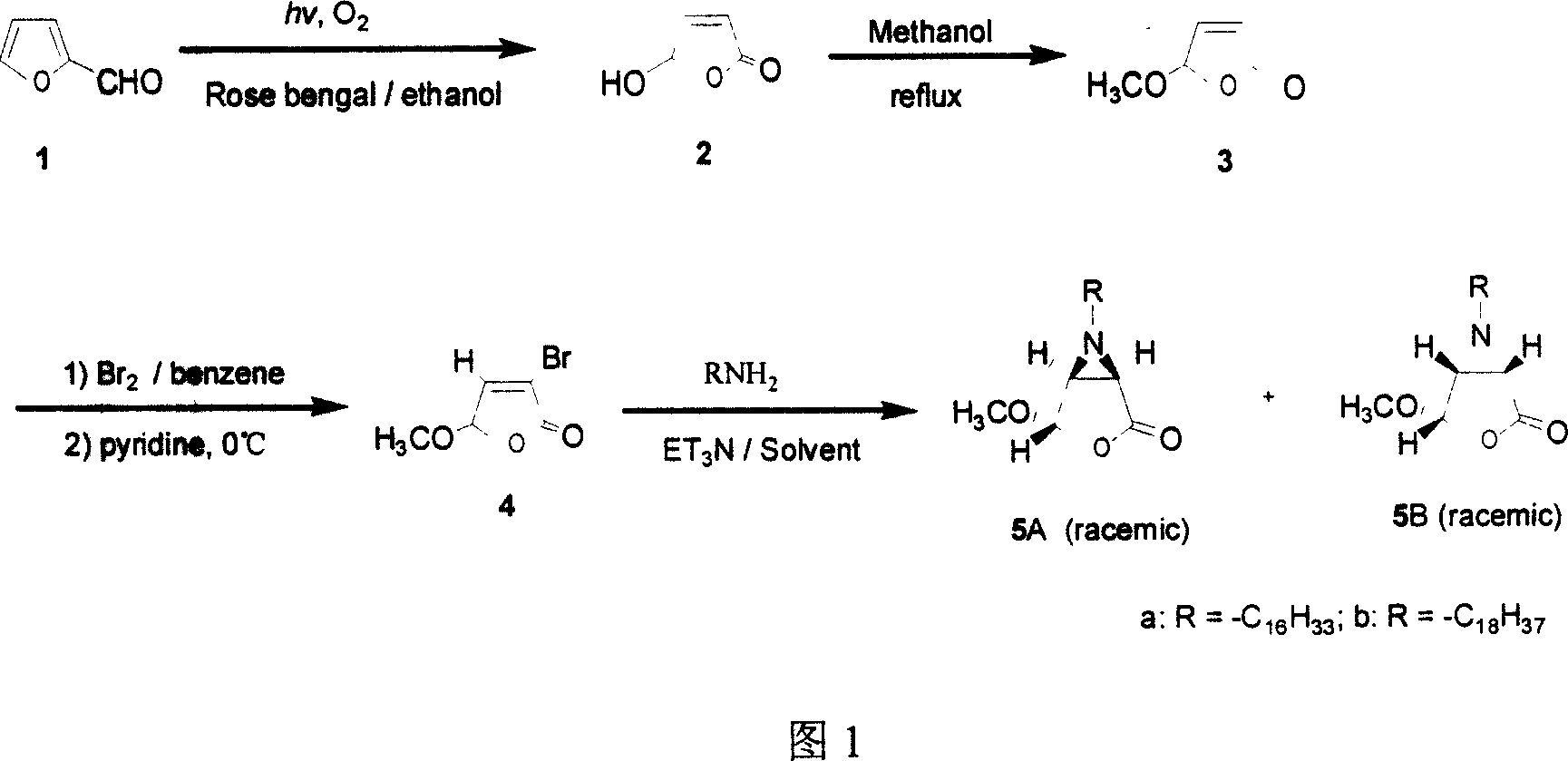 (1Z, 4Z, 5Z) ¿C 6 N alkyl ¿C 6 ¿C aza ¿C2 ¿C oxo ¿C 3 ¿C oxa ¿C 4 ¿C methoxy ¿C dicyclo [3, 1, 0] hexane and preparation method