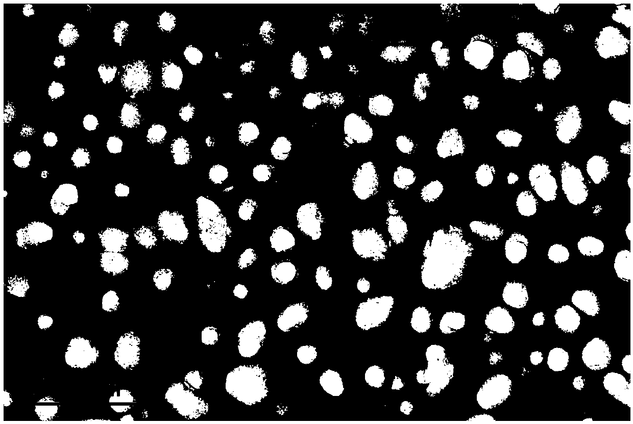 Dendrobium polysaccharide emulsion containing coconut oil and preparation method thereof