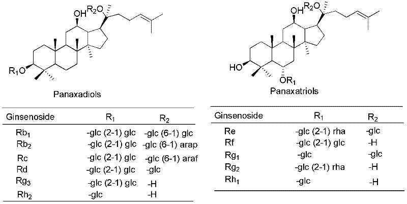 Synthesis method for 20-bit sugar connected protopanaxatriol analog ginsenoside and analog