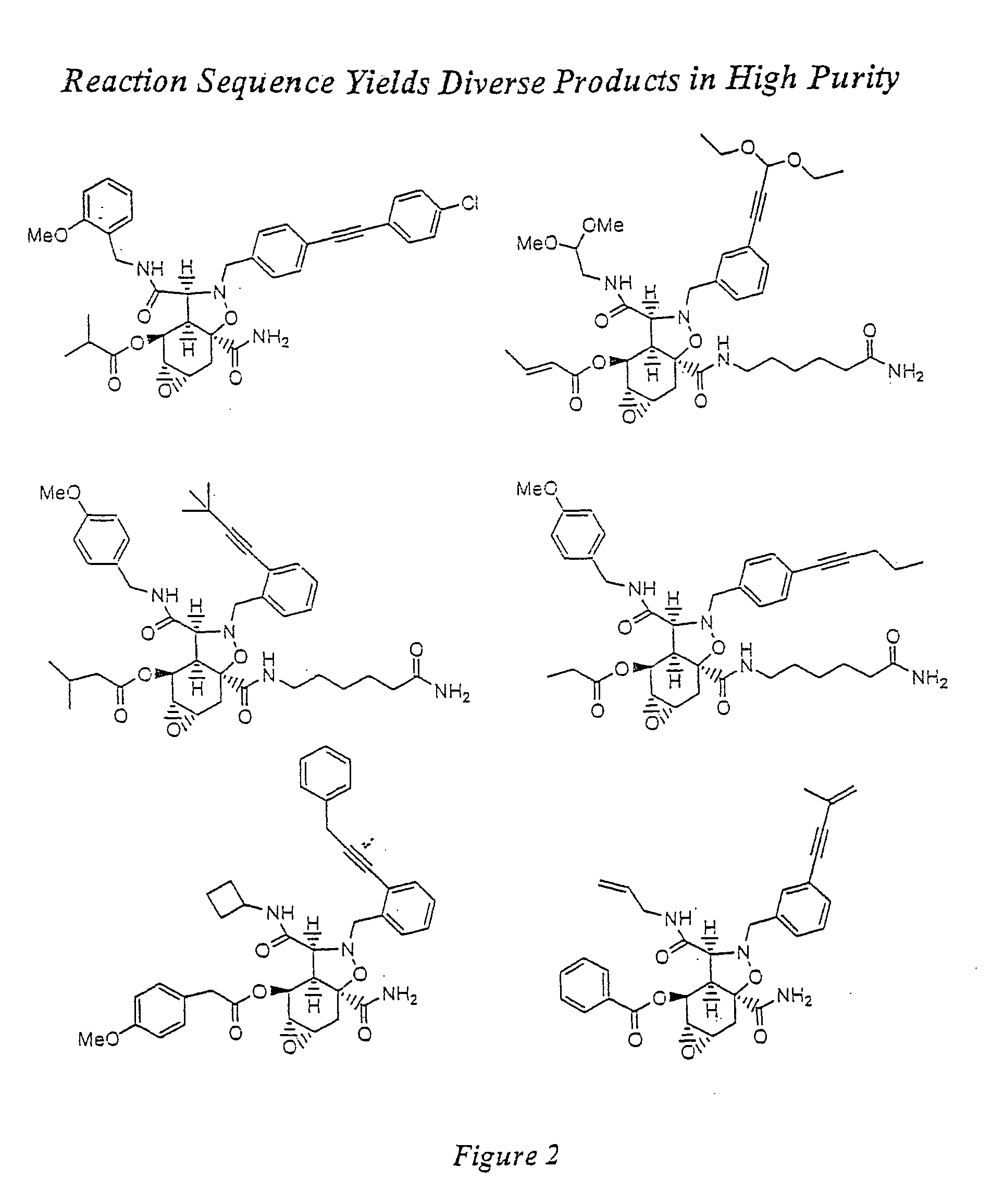 Synthesis of combinatorial libraries of compounds reminiscent of natural products