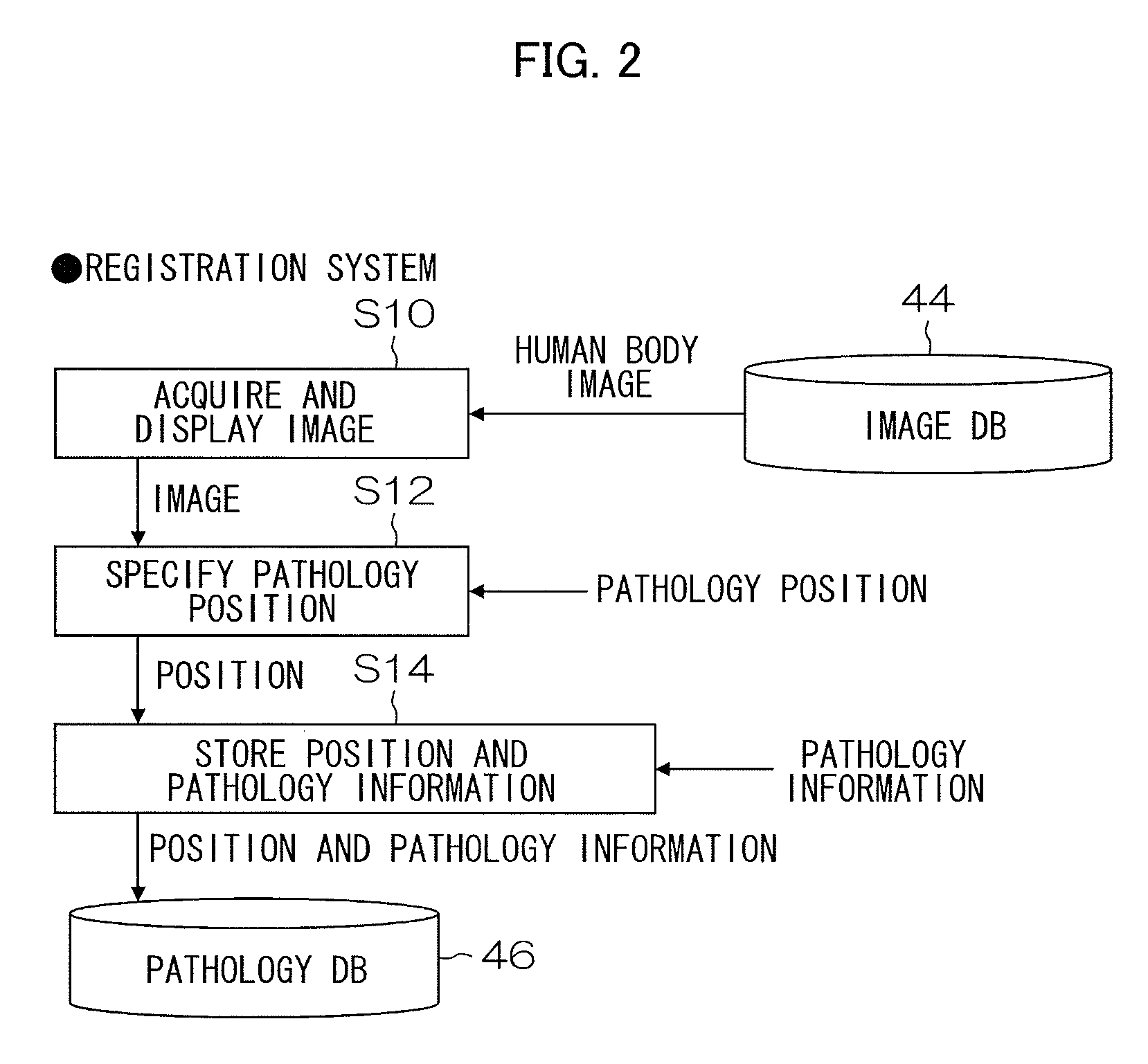 Radiographic image display apparatus, and its method and computer program product