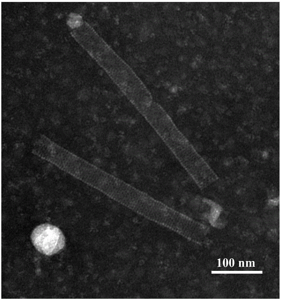 Method for preparing noble metal palladium nanorods by utilizing the nucleocapsid of cotton bollworm baculovirus