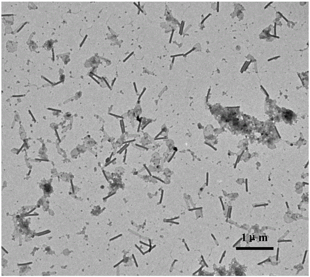 Method for preparing noble metal palladium nanorods by utilizing the nucleocapsid of cotton bollworm baculovirus