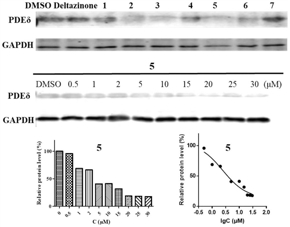 A pdeδ protein degradation targeting chimera and its preparation method and application