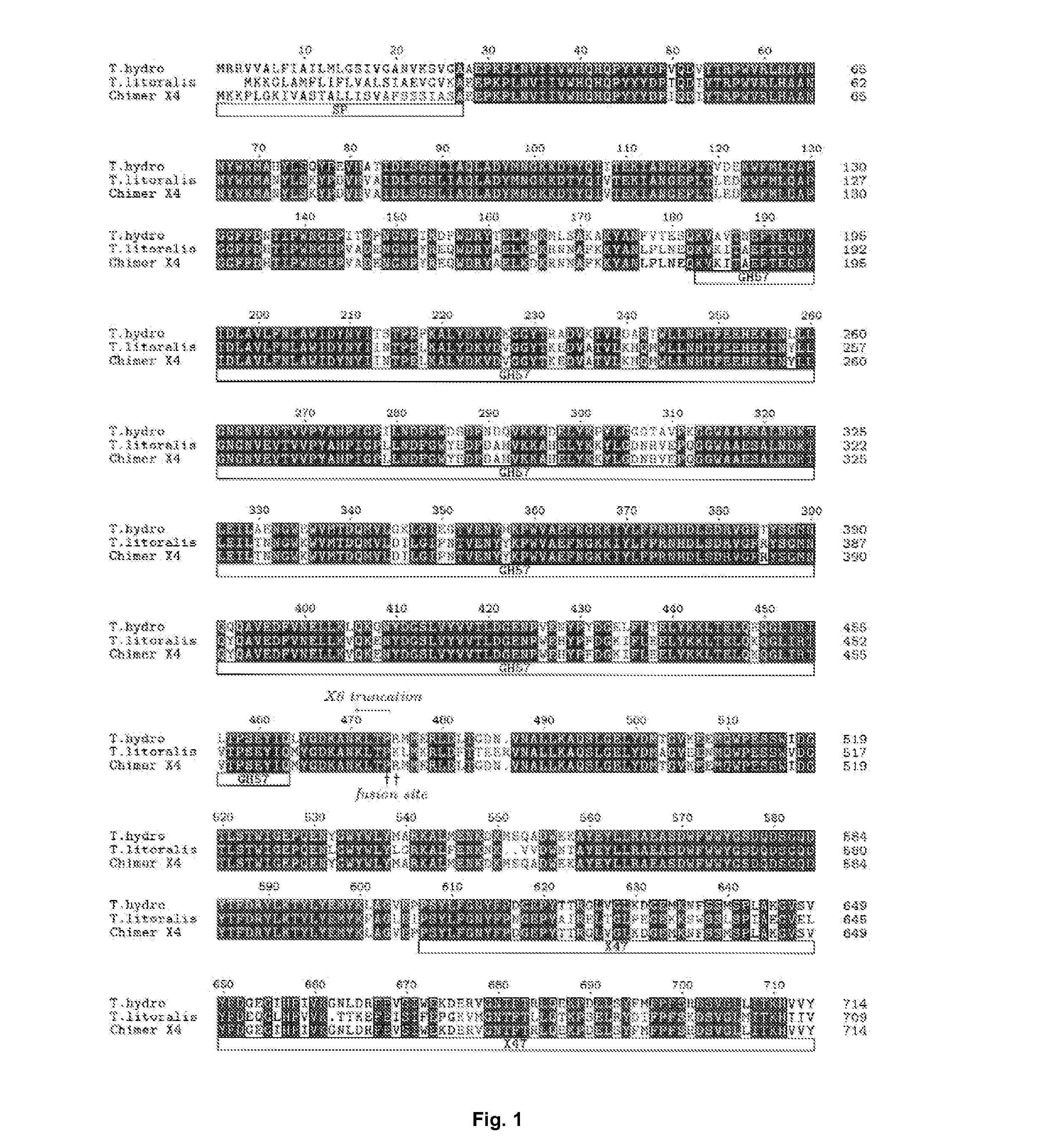 Pullulanase Variants and Uses Thereof