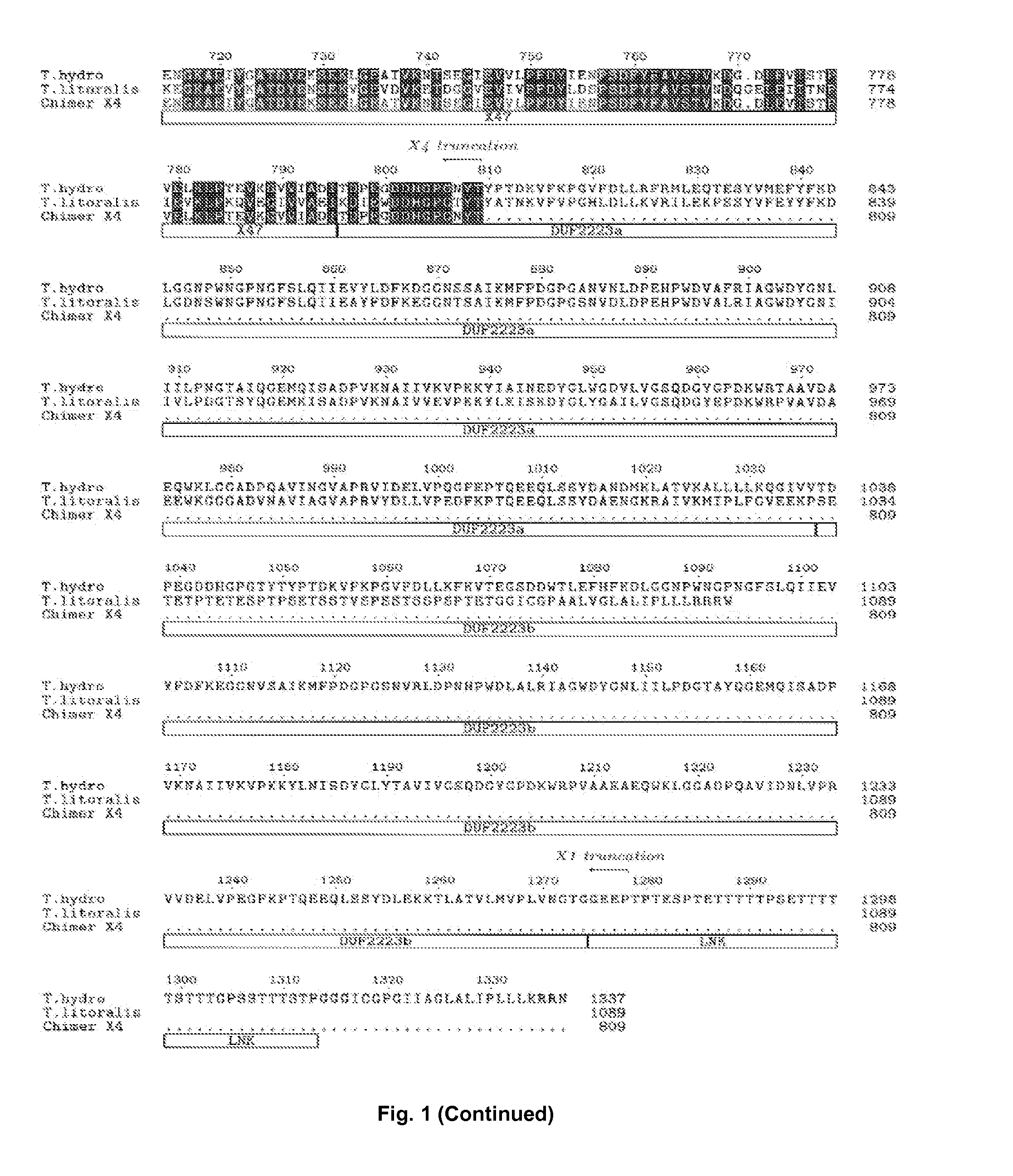 Pullulanase Variants and Uses Thereof