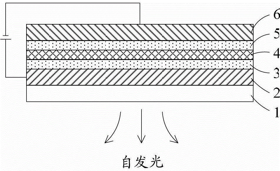 A polarizer and a display device