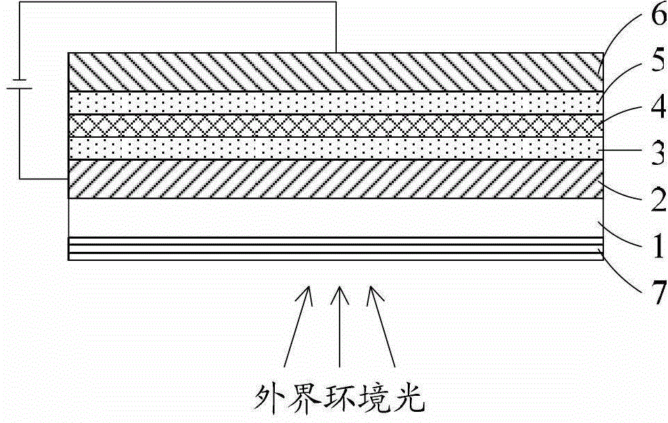 A polarizer and a display device