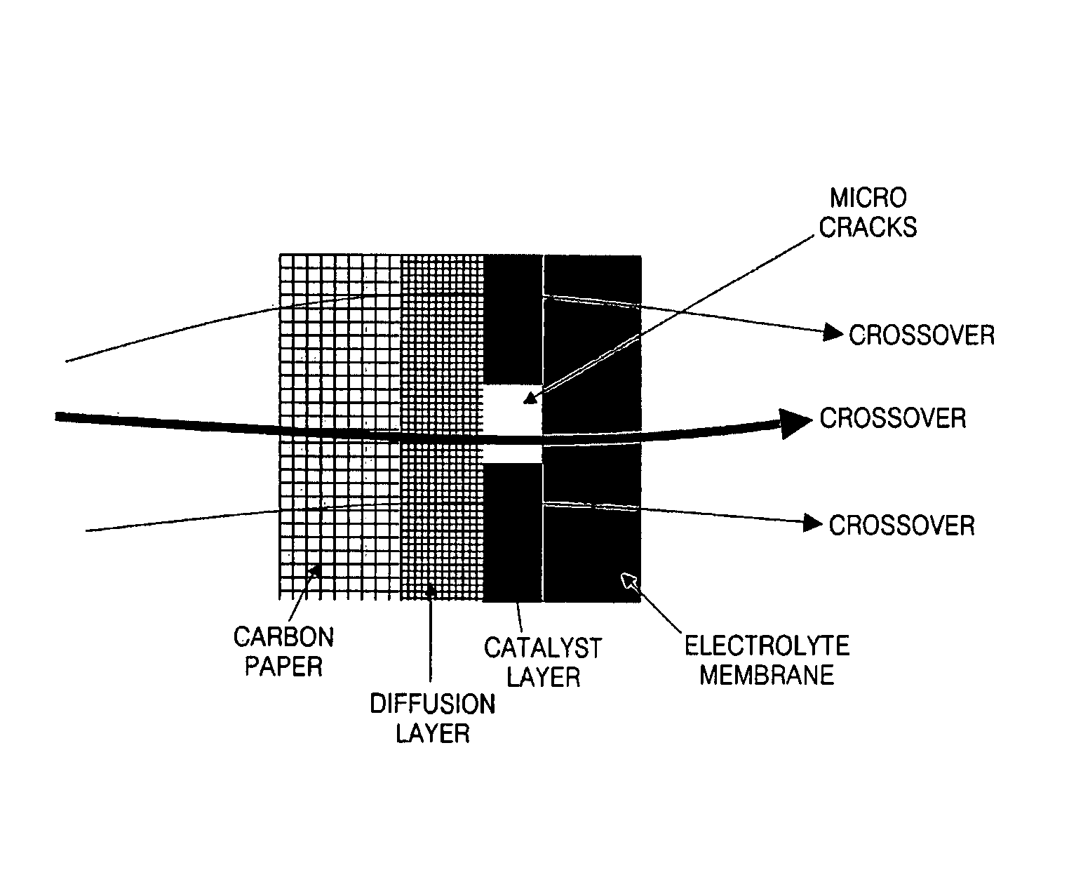 Catalyst coated electrolyte membrane, fuel cell including the same, method of preparing the catalyst coated electrolyte membrane