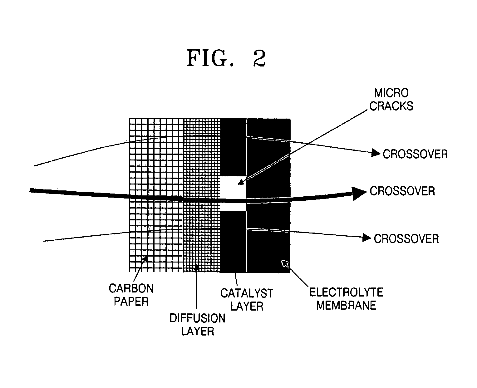 Catalyst coated electrolyte membrane, fuel cell including the same, method of preparing the catalyst coated electrolyte membrane