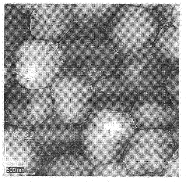 Antifungal lipopeptid-containing skin liniment and preparation method thereof