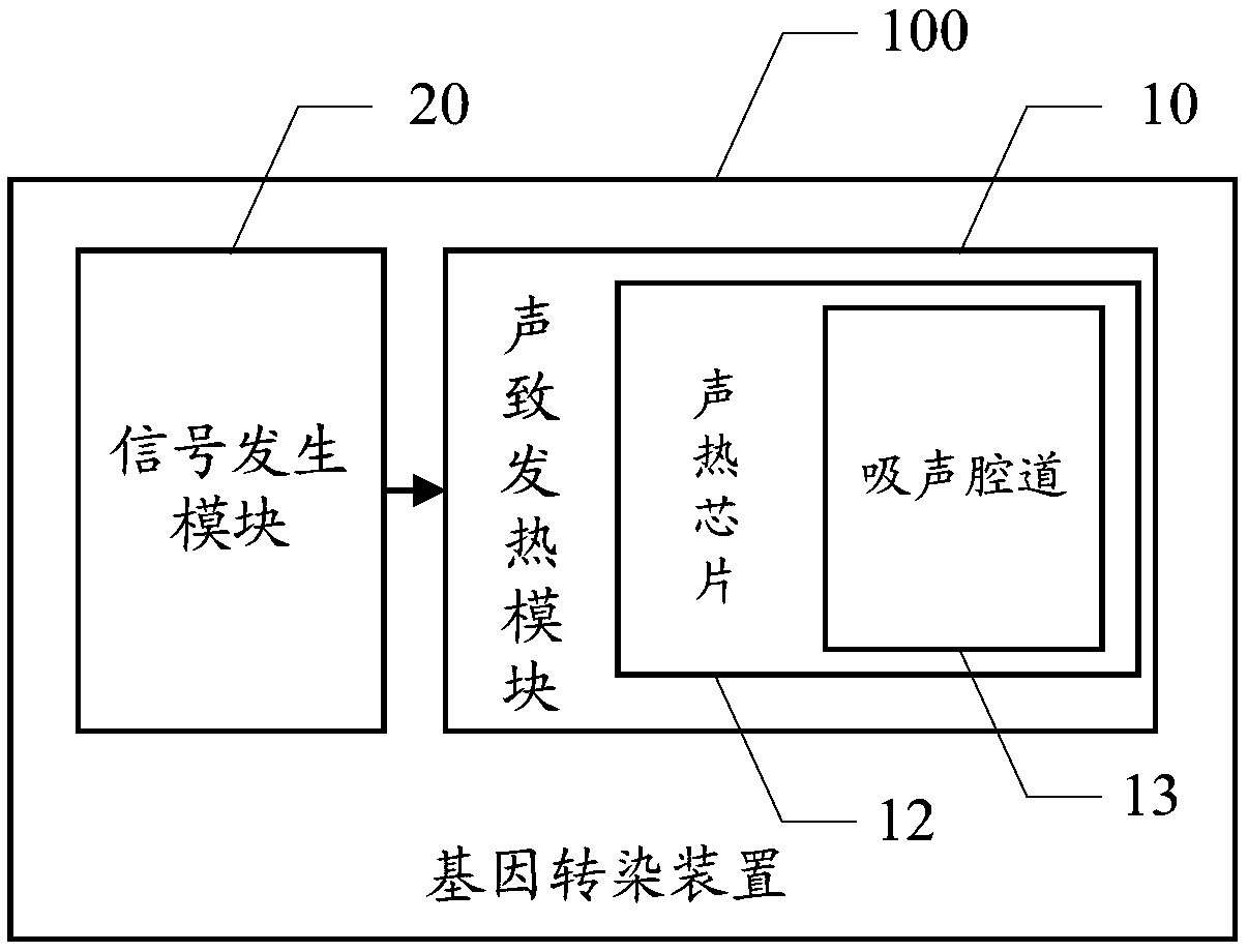 Gene transfection system and method