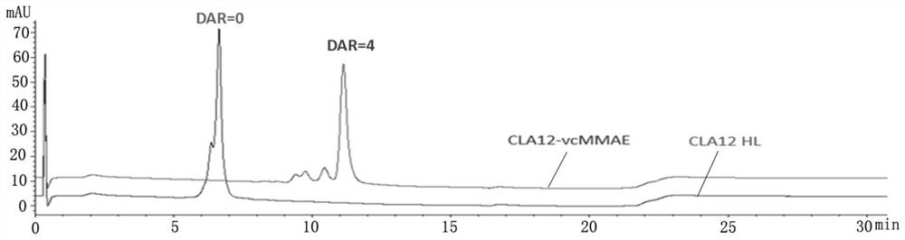 An antibody-dolastatin conjugate and its preparation method and application