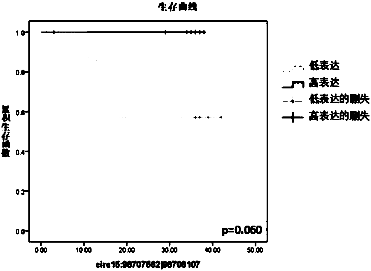 Glioma prognostic marker circ15:98707562|98708107 and applications