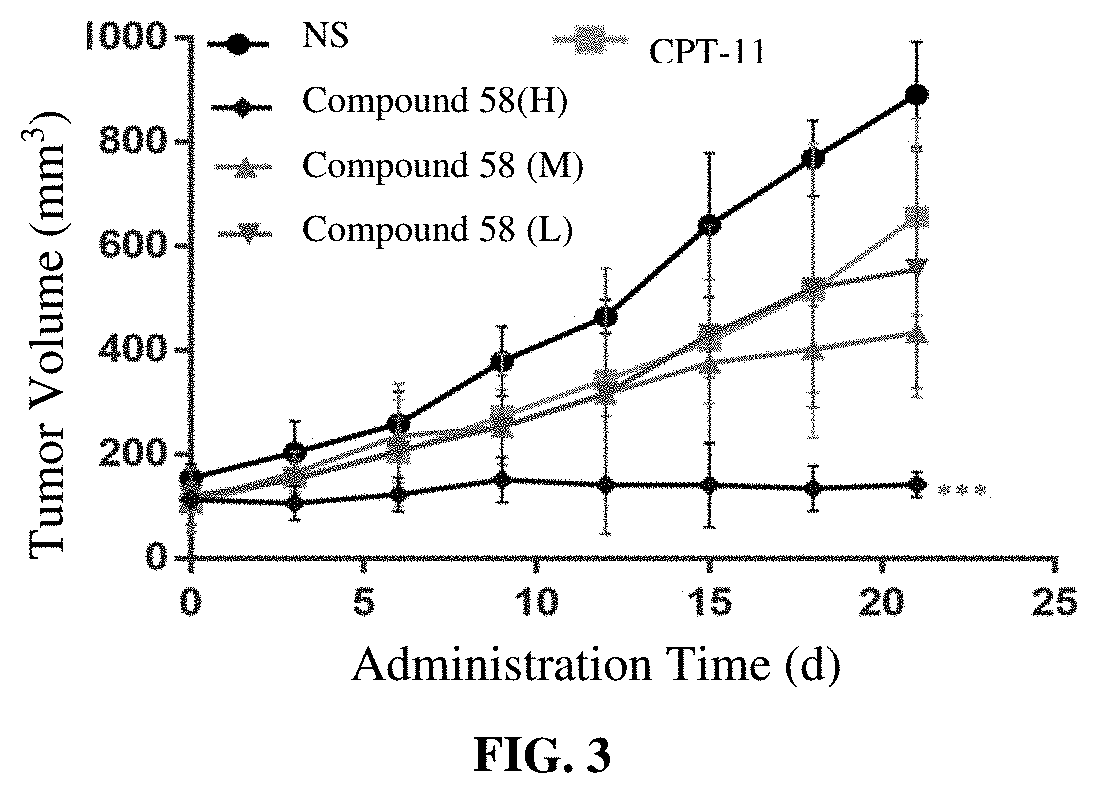 Camptothecin derivatives and preparation methods and applications thereof