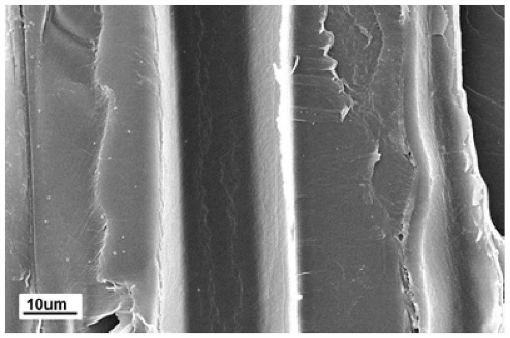 Preparation method of compound flame-retardant wood