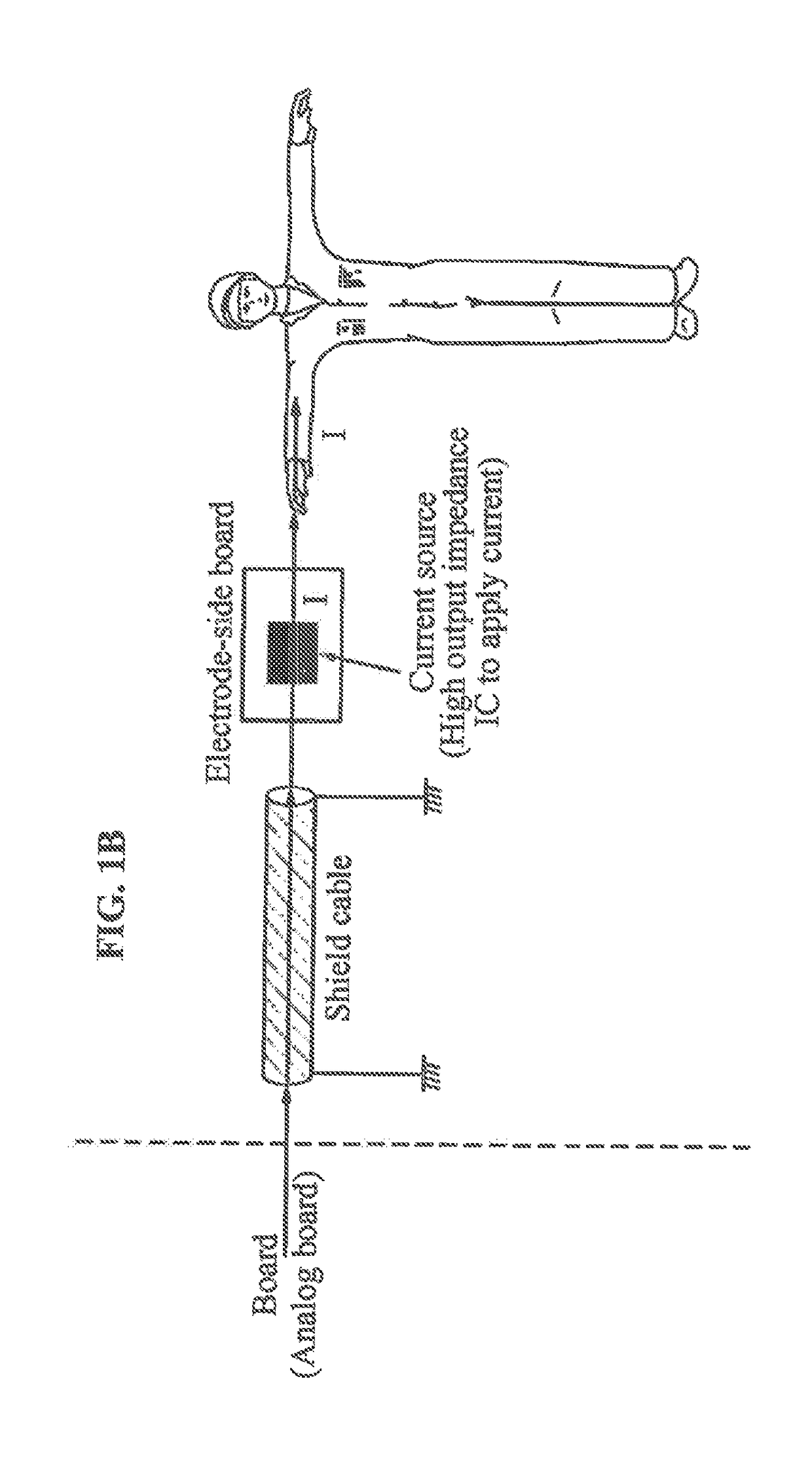 Apparatus for measuring bioimpedance and electrode-side board thereof