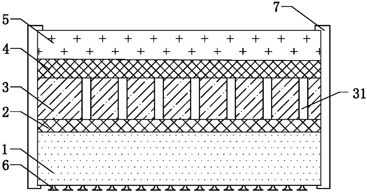 Carpet with silencing and denoising functions and preparation method of carpet