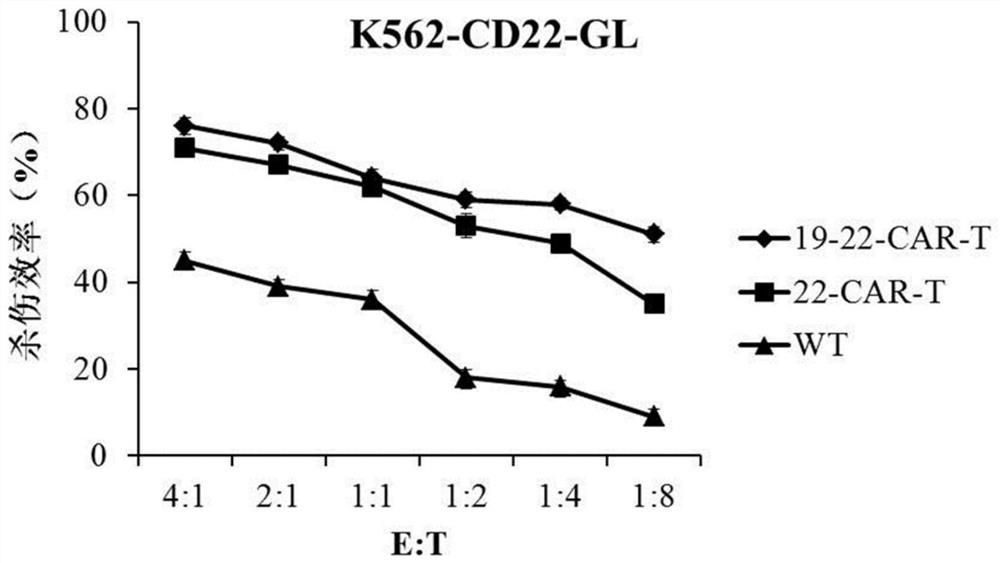 CD19 and CD22 double-target chimeric antigen receptor T cell and application thereof