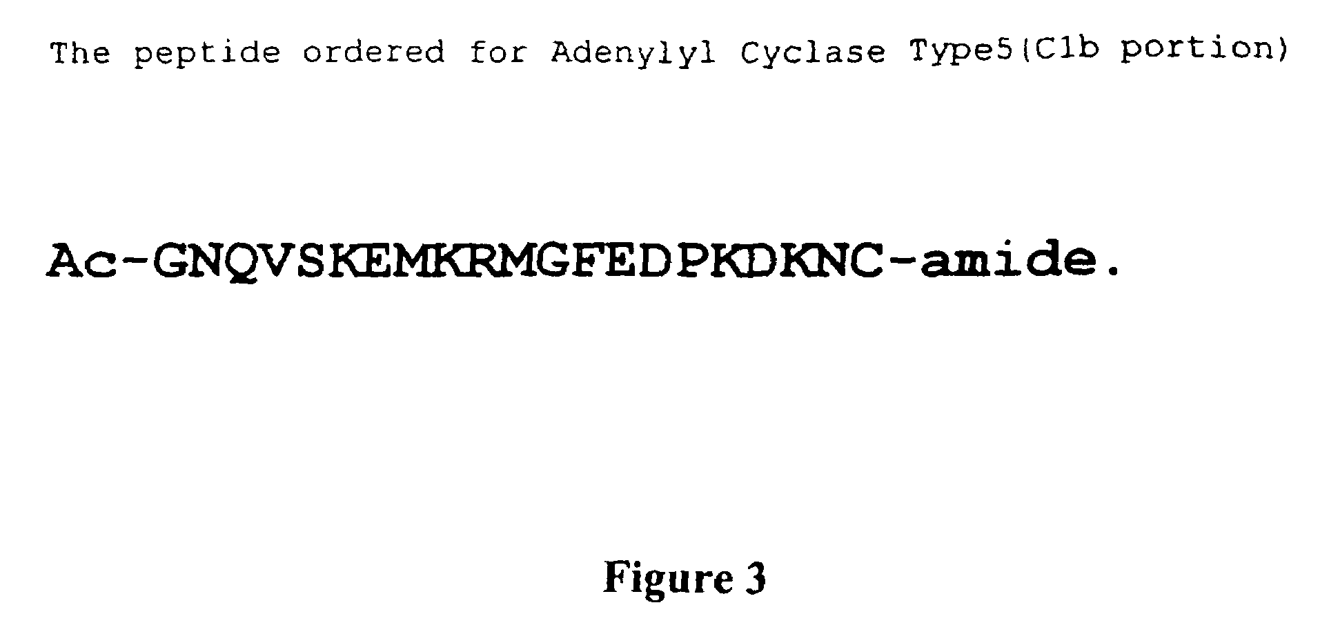 Adenylyl cyclase antibodies, compositions and uses thereof