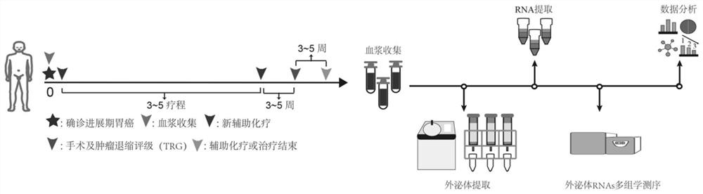 Application of plasma exosome biomarker in screening or curative effect prediction of gastric cancer neoadjuvant chemotherapy sensitive population