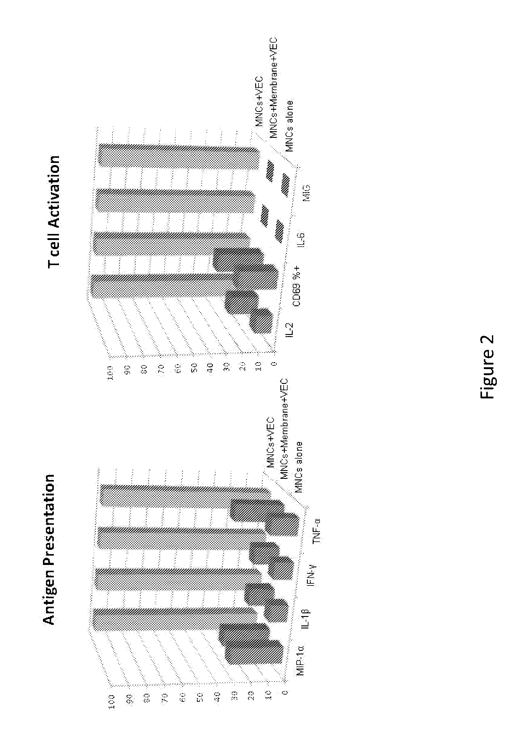 Methods and compositions to modify the immunogenicity of a vascularized organ or tissue