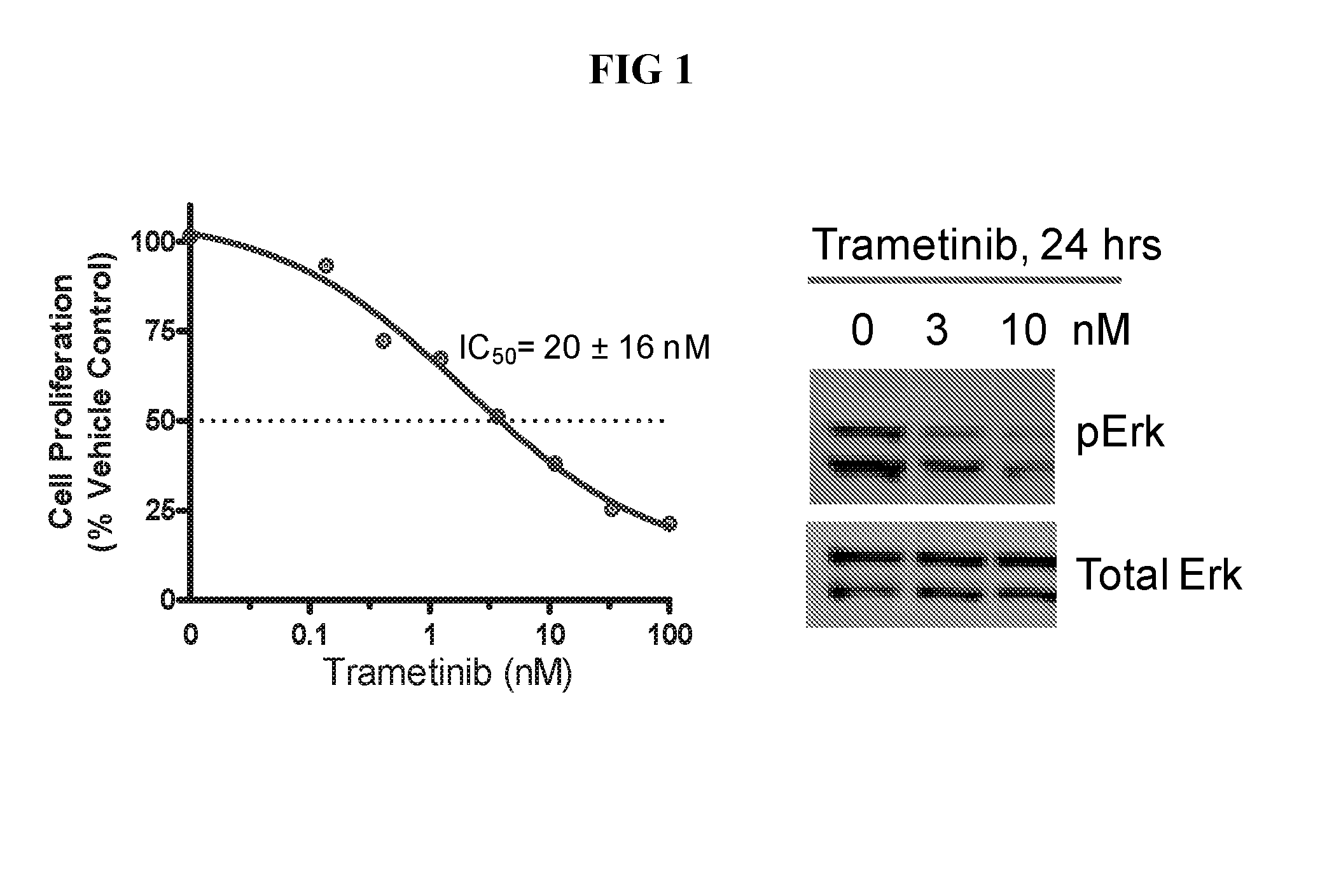 Combinations of an Anti-pd-l1 antibody and a mek inhibitor and/or a braf inhibitor