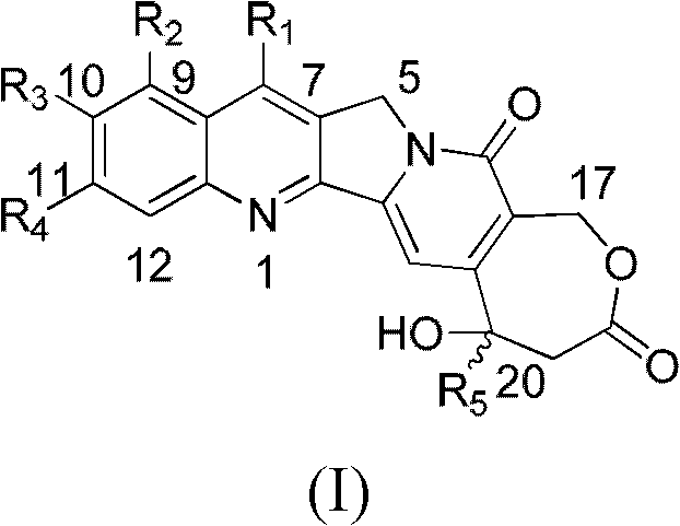 High-camptothecin compounds and use thereof as medicaments