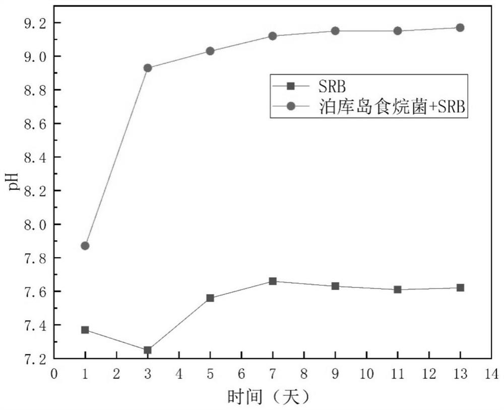 A kind of biological fungicide for crude oil transportation pipeline and its application
