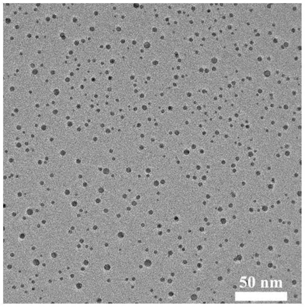 Biomass carbon dots as well as preparation method and application thereof