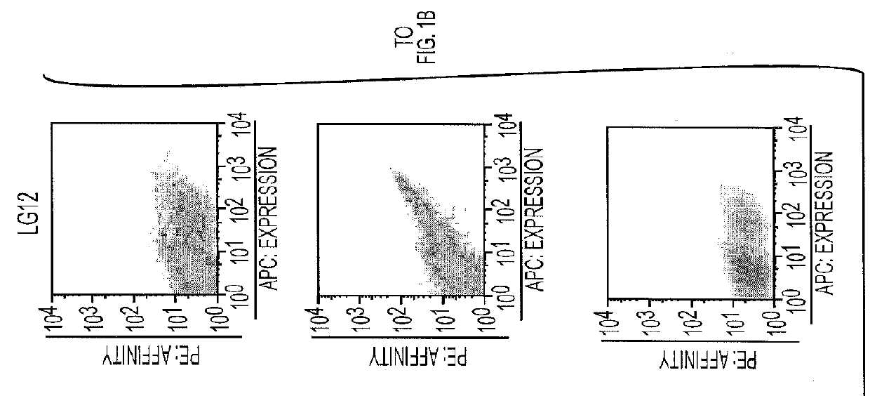 Human Antibody Fragments Against Chondroitin Sulfate Proteoglycan 4 (CSPG4)