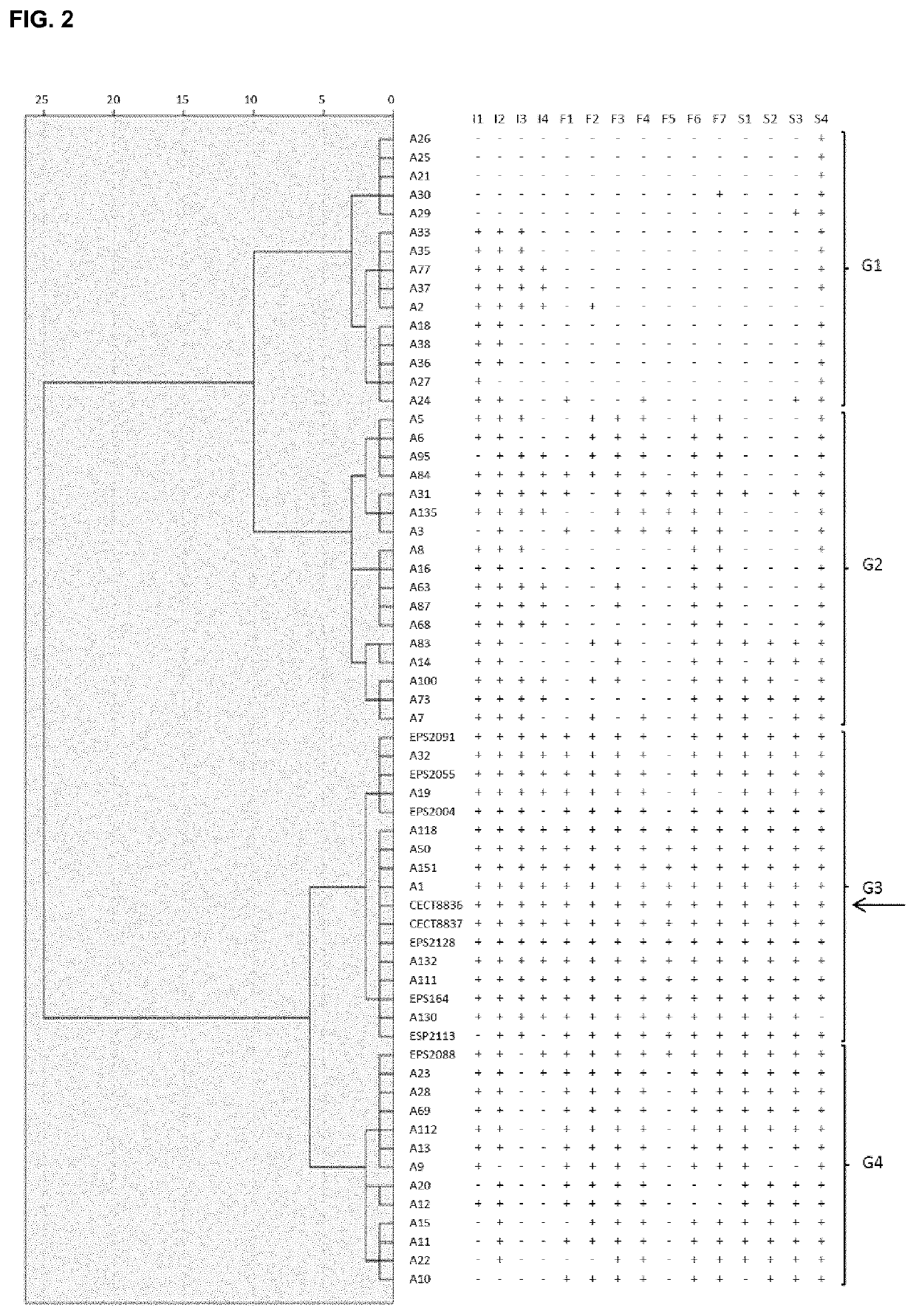 Strain of <i>Bacillus amyloliquefaciens </i>and its use in the control of diseases caused by bacteria and fungi in plants