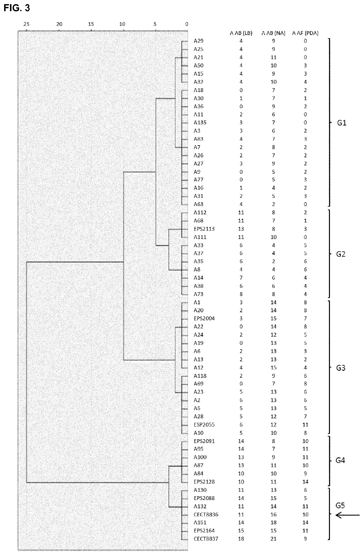 Strain of <i>Bacillus amyloliquefaciens </i>and its use in the control of diseases caused by bacteria and fungi in plants