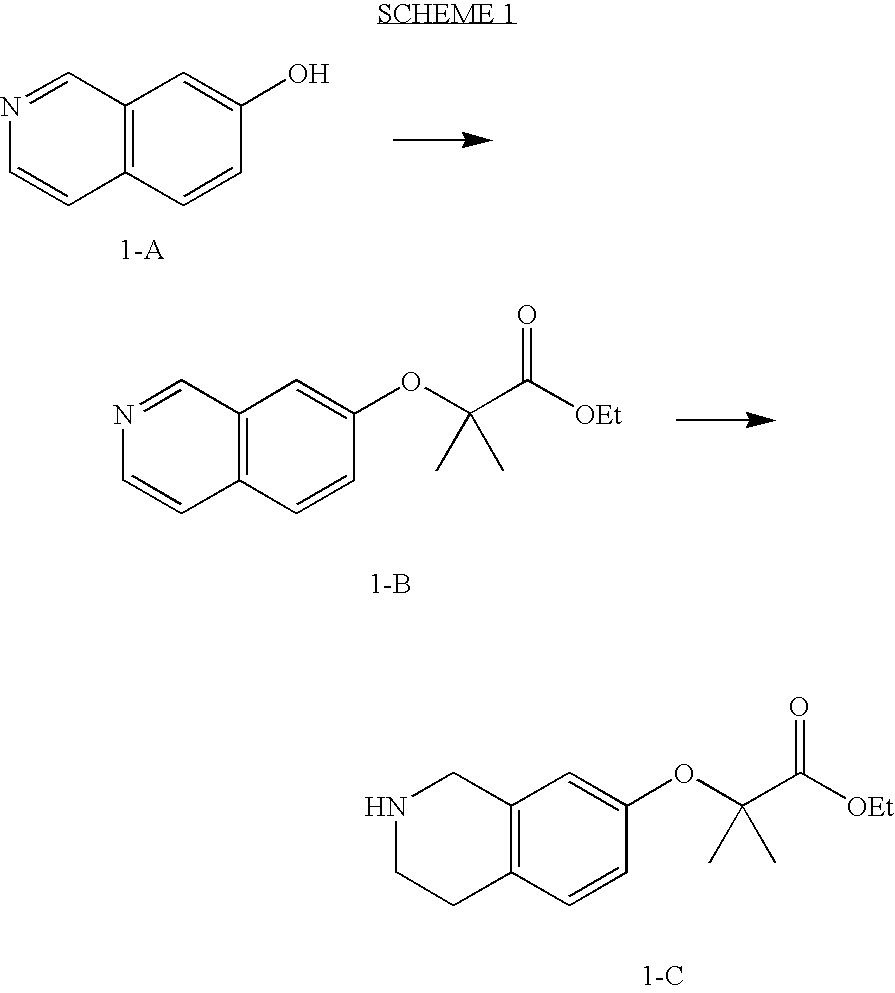 Tetrahydroisoquinoline derivatives as PPAR-alpha activators