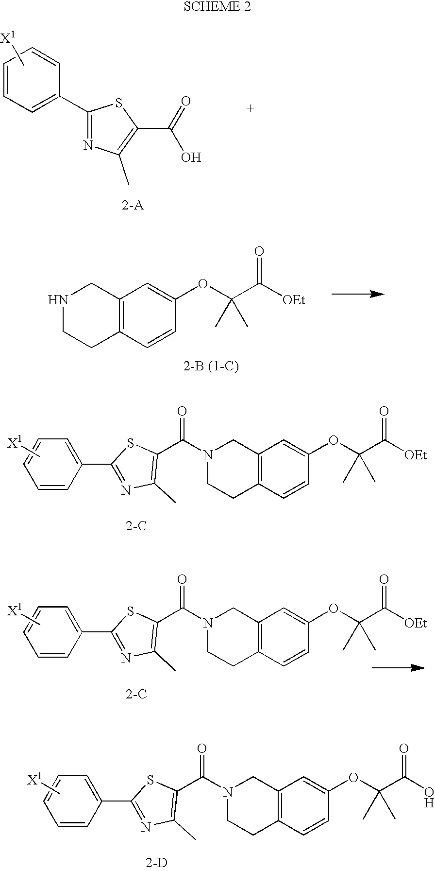Tetrahydroisoquinoline derivatives as PPAR-alpha activators